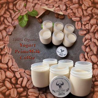 Sữa chua cà phê prime milk mộc châu 1thùng 12 hũ - không chất bảo quản, phụ gia - lên men tự nhiên - giao hàng hoả tốc