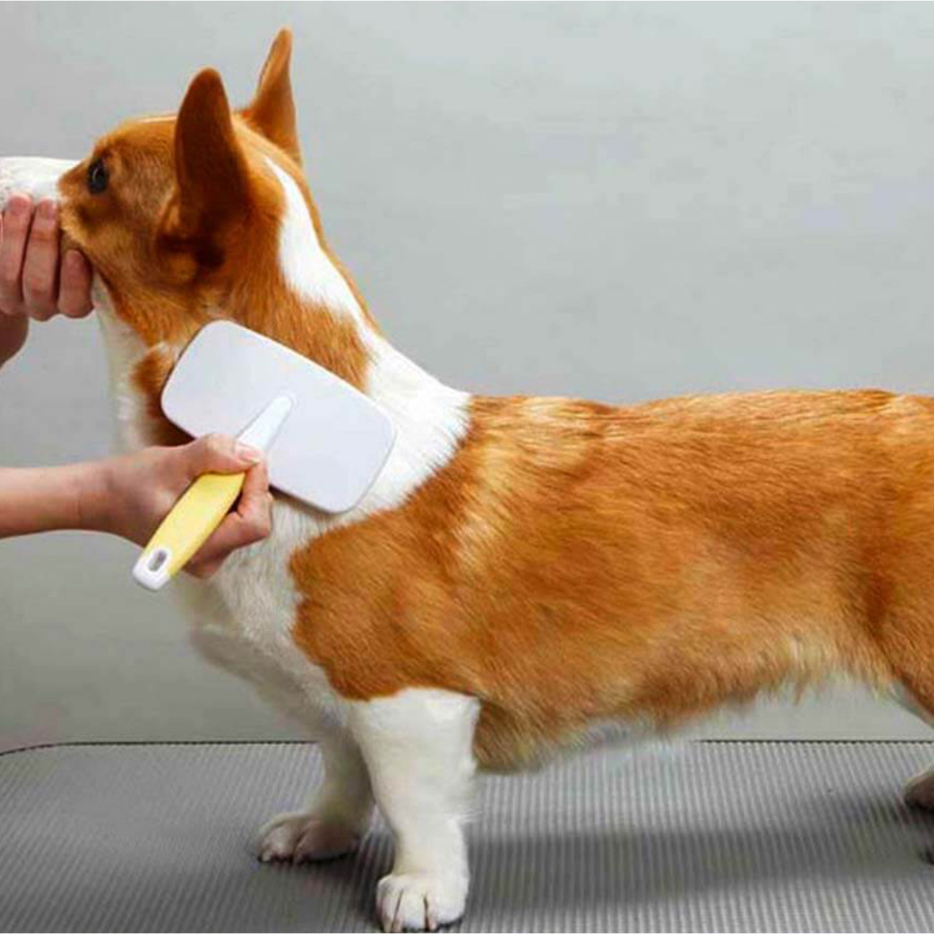 Bàn chải lược gỡ rối kèm lược nhỏ dành cho thú cưng Doggyman dành cho thú cưng