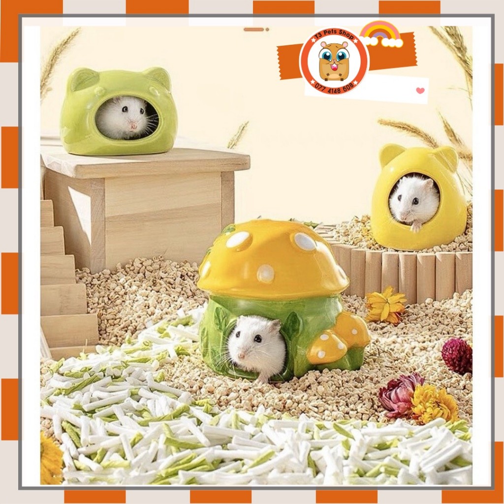 Nhà sứ và chén xinh dành cho hamster