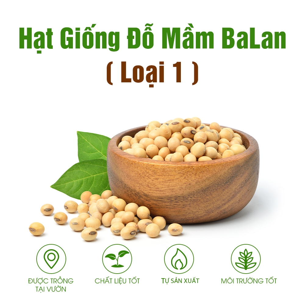 Hạt giống đỗ tương Halan nhập khẩu loại đặc biệt, hạt tiêu chuẩn cao