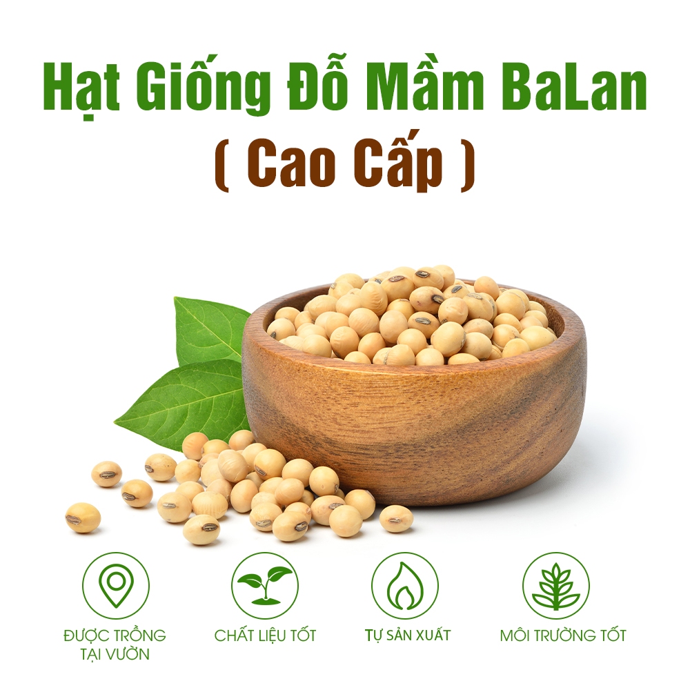 Hạt giống đỗ tương Halan nhập khẩu loại đặc biệt, hạt tiêu chuẩn cao