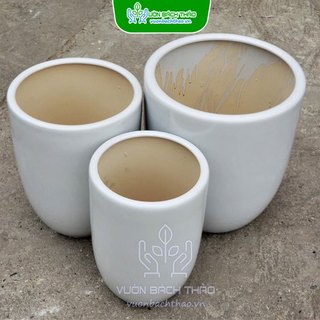 Chậu sứ trồng cây SIZE S (Lòng 3)