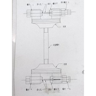 Cảo sên cam nhỏ - 2 đầu