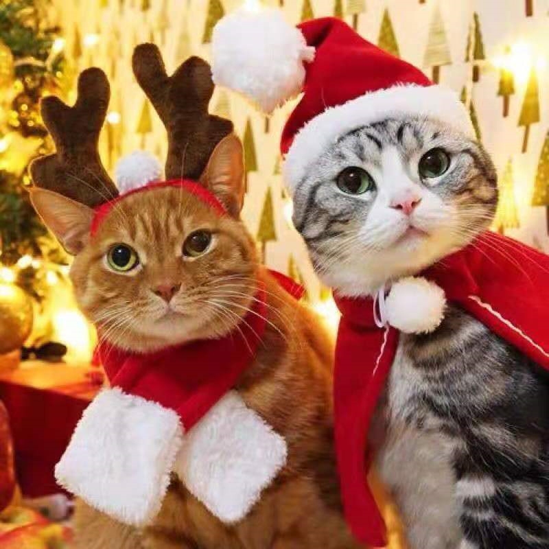 Mèo Cưng Giáng Sinh Vui Vẻ, Mũ Khăn Thú Cưng Ngộ nghĩnh, Áo Choàng Đầu chơi Lễ, Đồ Chơi Phụ Kiện Quàng Cổ