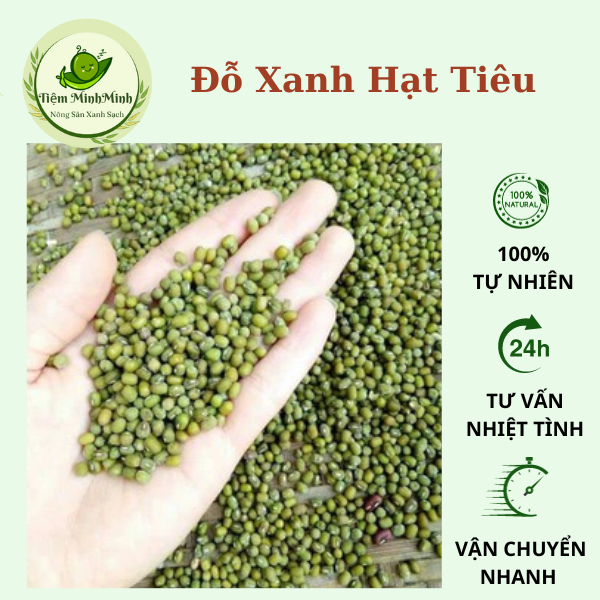 Đậu xanh hạt nhỏ ,đậu xanh nấu chè , sữa hạt làm giá đỗ rau mầm đóng túi 500gr - 1kg