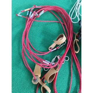 Dây cột gà tre, nòi nuôi thả gà