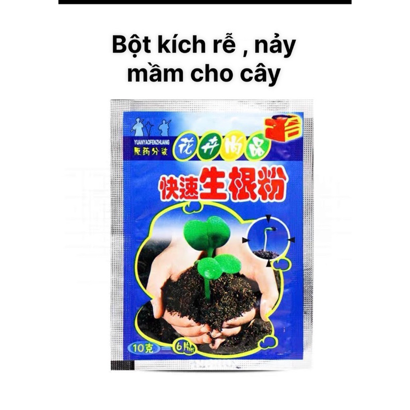 Bột kích rễ kích mầm cho cây 10g