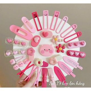 Set 19 món kẹp tóc lợn hồng cho bé gái