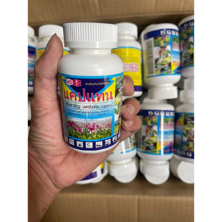 Thuốc trừ bệnh thối nhũn, nấm bệnh trên phong Lan Captan Thai Lan (lọ 50g).