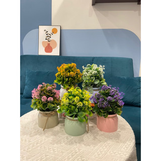 Chậu hoa giả để bàn, để kệ trang trí, Các mẫu chậu hoa mini decor