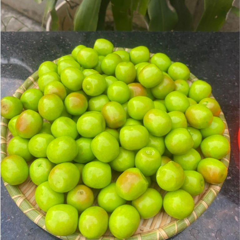 Kẹo Cao Su Hình Qủa Táo Tuổi Thơ