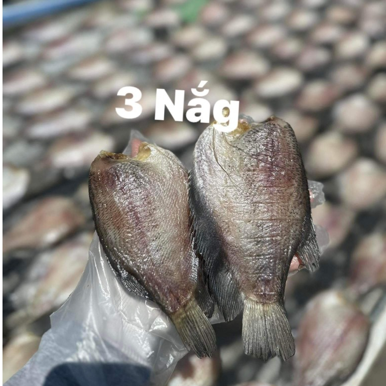 Khô cá sặc 9-10con/kg không mặn,không đầu