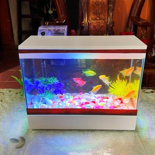 Bộ bể cá mini 25cm 30cm để bàn làm việc, trang trí nhà cửa, hồ cá cảnh (tặng kèm đồ trang trí, thức ăn cá)