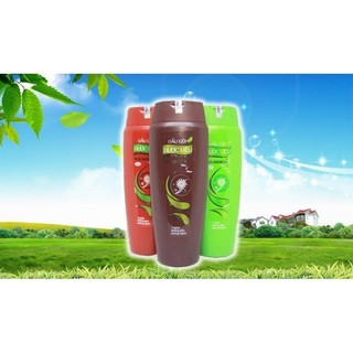 Dầu gội dược liệu Thái Dương