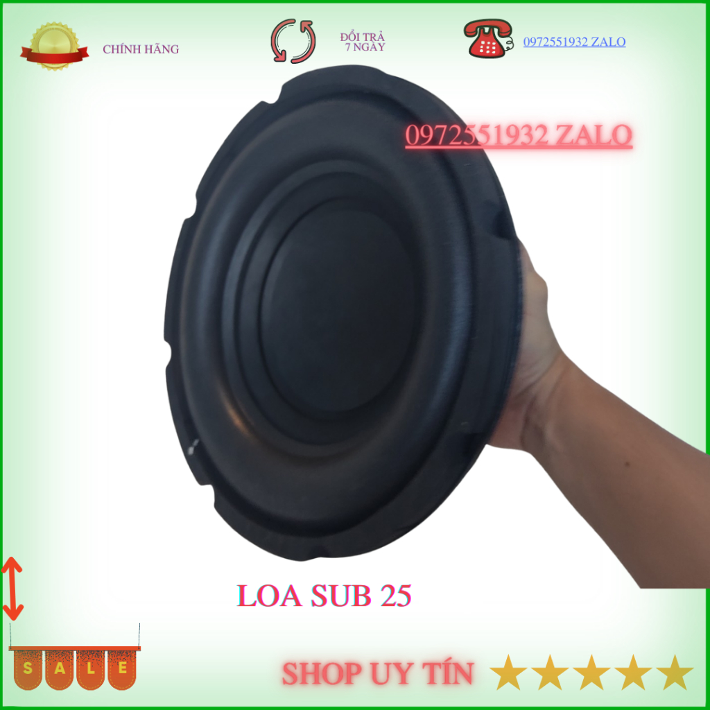 Loa sub 25 martin gân béo công suất 300W bas trầm cực sâu giá 1 loa