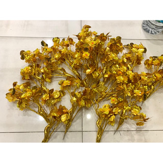 Lá Ngọc Cành Vàng cao 35-38cm