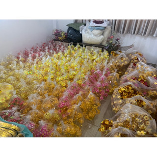 Lá Ngọc Cành Vàng cao 35-38cm