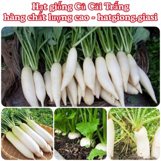 Hạt giống củ cải lu bú, củ cải trắng