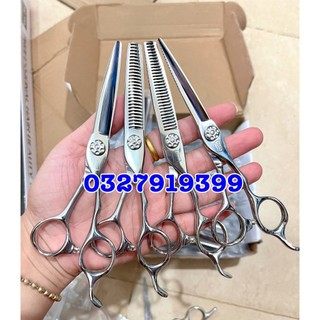 ✅freeship✅ Kéo cắt tóc cao cấp Nhật WAHL 6.0