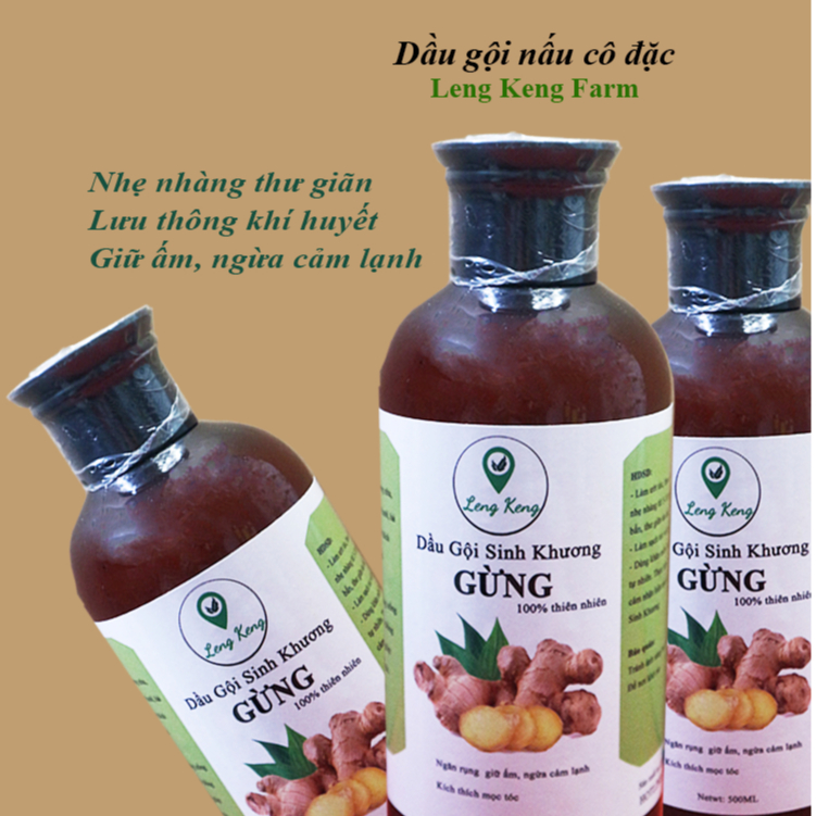 Dầu gội đầu thảo dược tinh chất gừng dưỡng sinh, làm ấm da đầu lưu thông khí huyết, ngăn rụng tóc 500ml