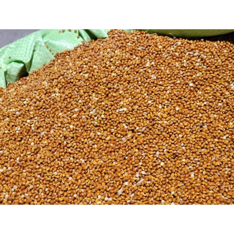 [Gói 500G - 1Kg] Hạt kê bóng thức ăn chim gà hamster