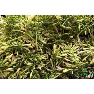 hoa đu đủ đực phơi khô 500g