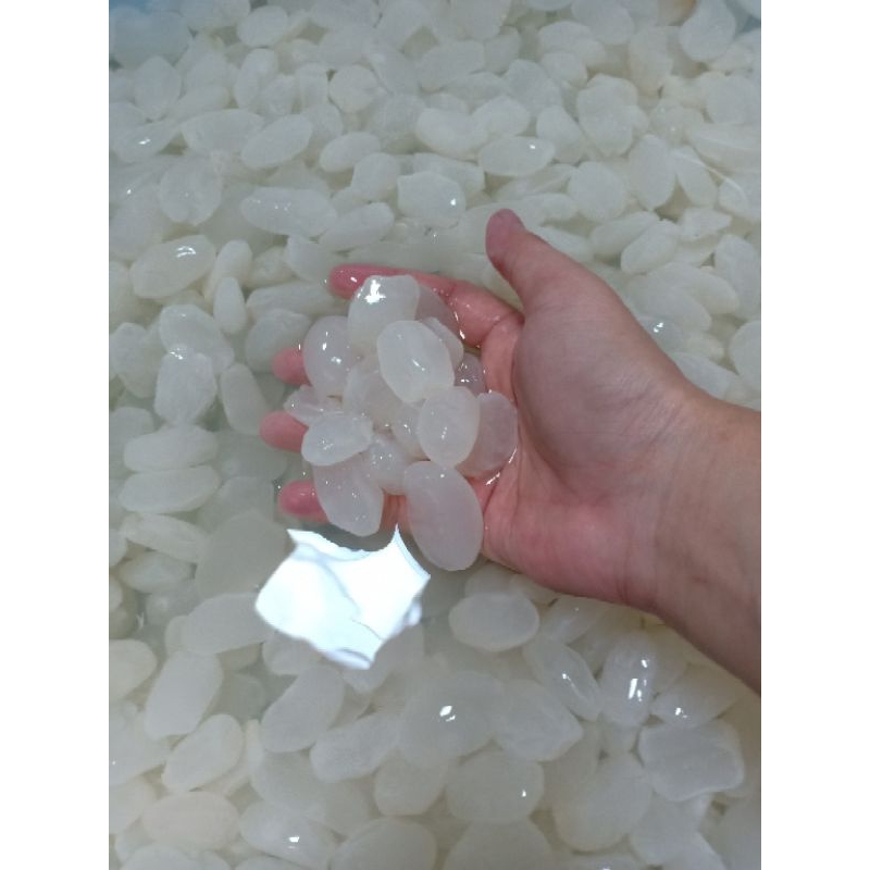 1KG HẠT ĐÁC TƯƠI NON NGON MIX TO- NHỎ
