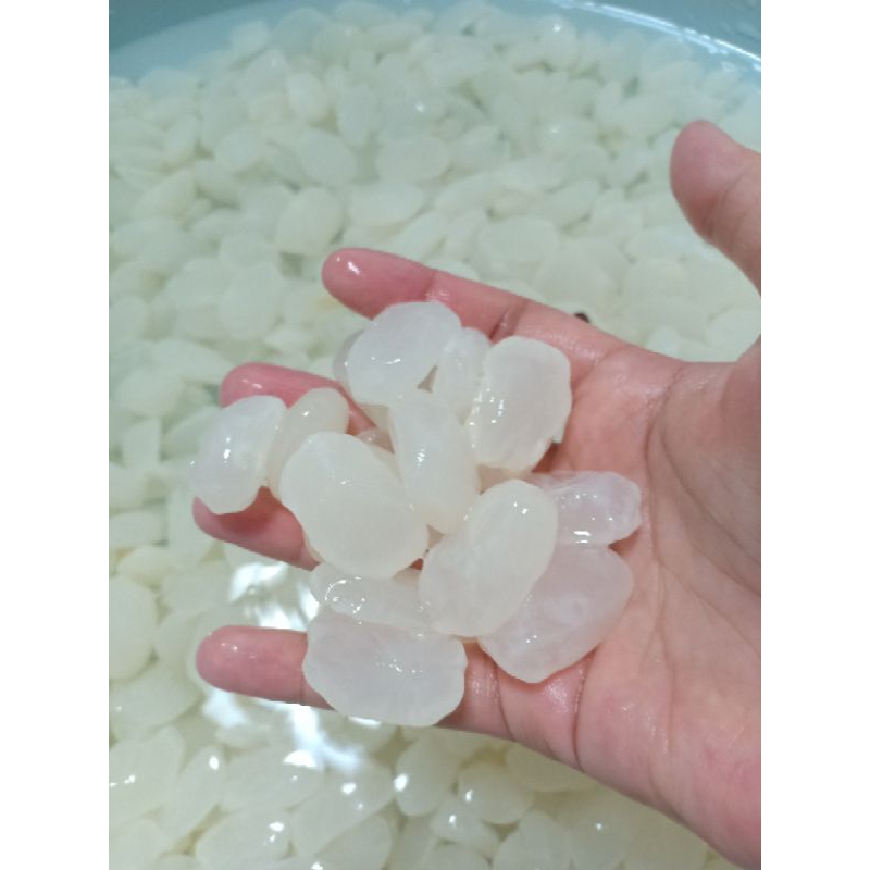 1KG HẠT ĐÁC TƯƠI NON NGON MIX TO- NHỎ