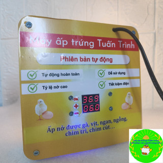 Bộ máy ấp trứng tự động, ấp gà vịt ngan ngỗng, nở trên 90%