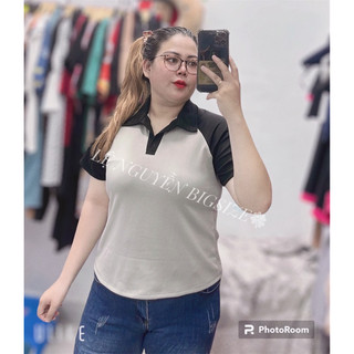 Áo cổ trụ tay phối màu bigsize
