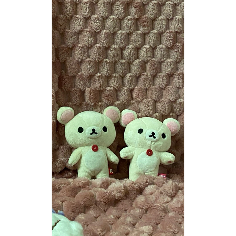 Gấu rila đủ size siêu xinh