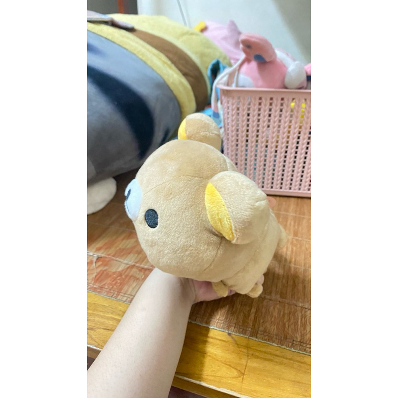 Gấu rila đủ size siêu xinh