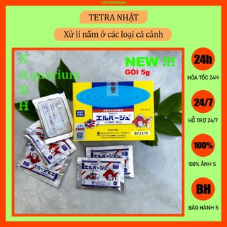 Xử lí nấm ở các loại cá cảnh