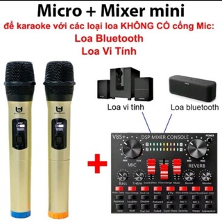 Micro Không Dây Karaoke W003, Mẫu Mới, Chuyên Dùng Cho Ampli, Loa Kéo, Hát Nhẹ