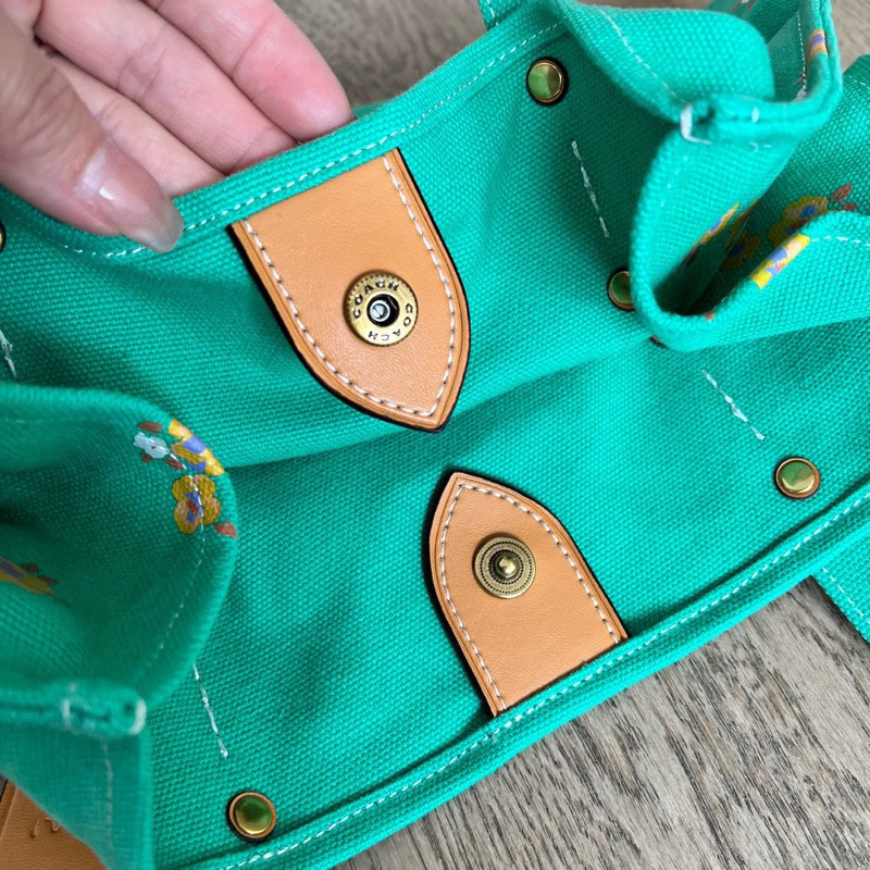 Túi coach disney màu mới