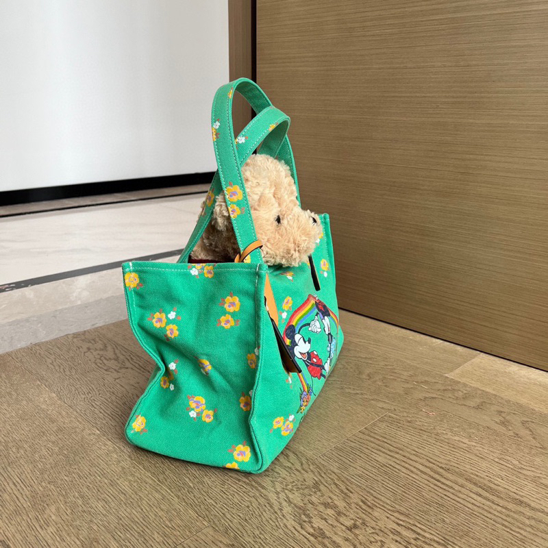 Túi coach disney màu mới