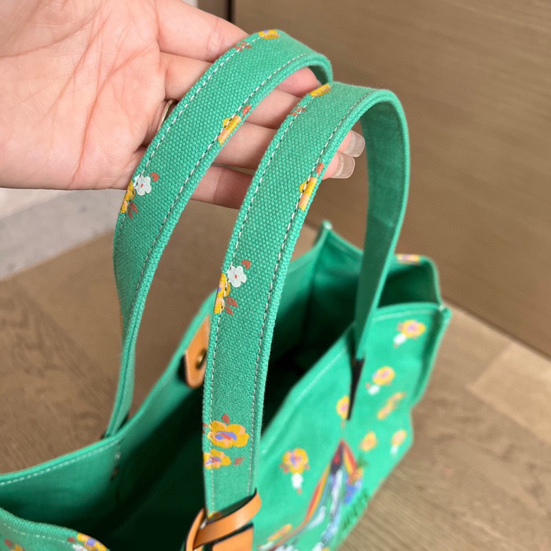 Túi coach disney màu mới
