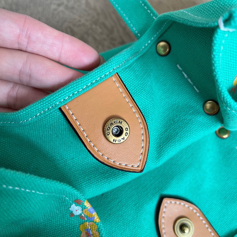 Túi coach disney màu mới