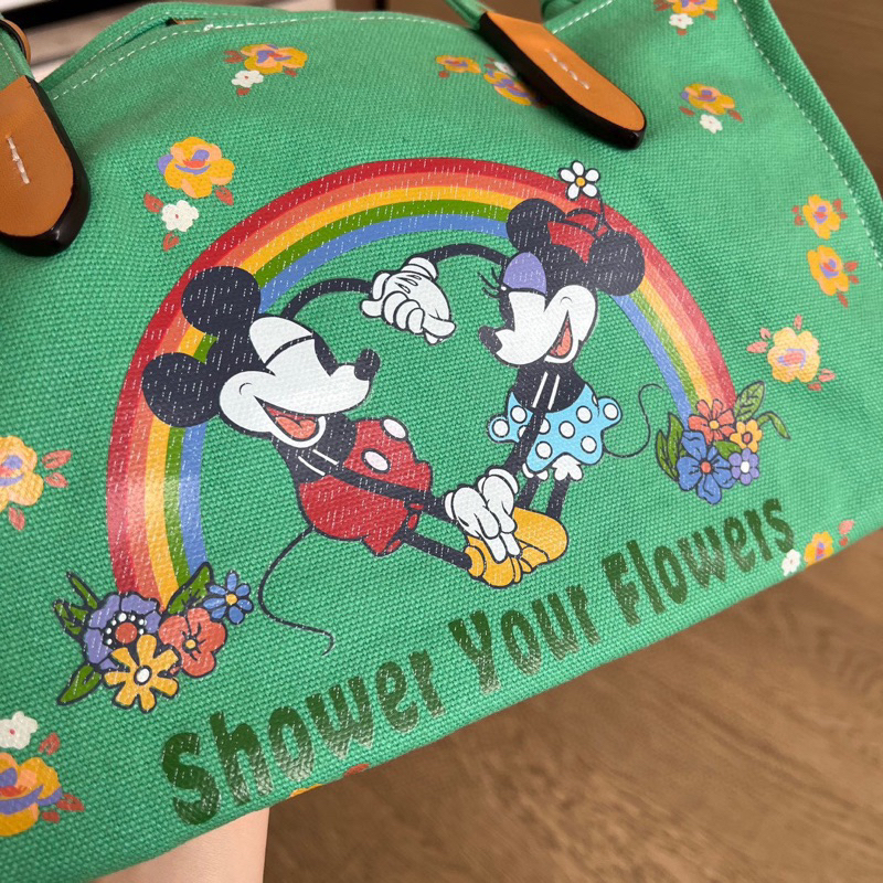 Túi coach disney màu mới