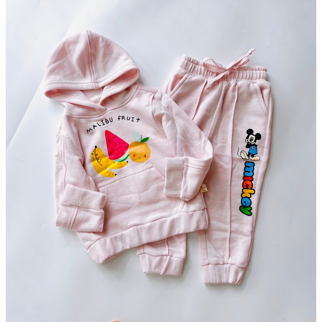 Bộ nỉ da cá dài tay áo chui đầu có mũ mùa thu đông cho bé gái size 2-7 tuổi