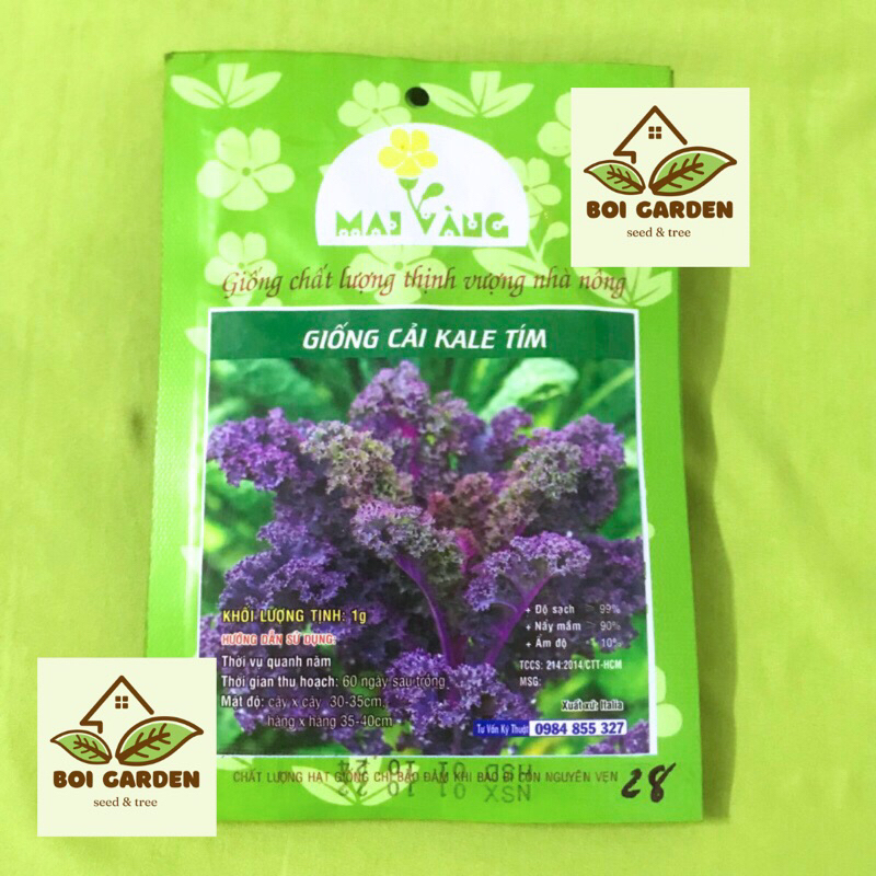 Hạt giống cải KaLe tím