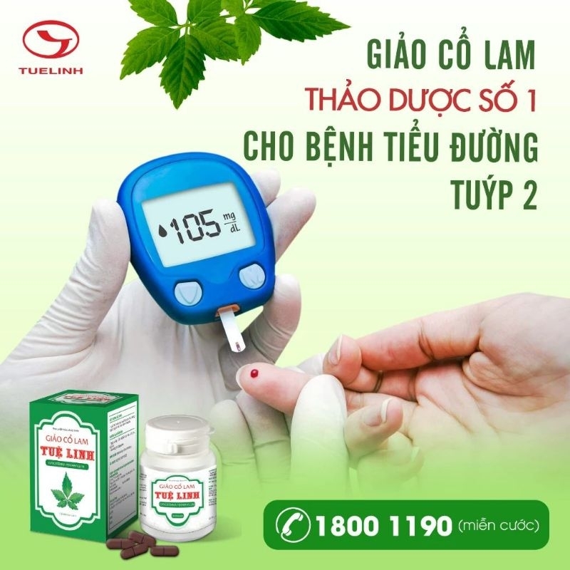 GIẢO CỔ LAM TUỆ LINH M.I.Ễ.N S.H.I.P