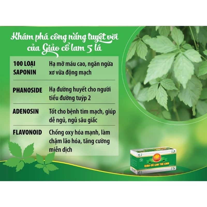 GIẢO CỔ LAM TUỆ LINH M.I.Ễ.N S.H.I.P