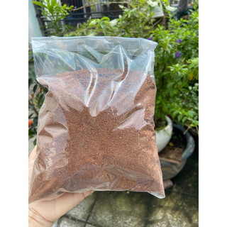 Giá thể mụn dừa (100g)
