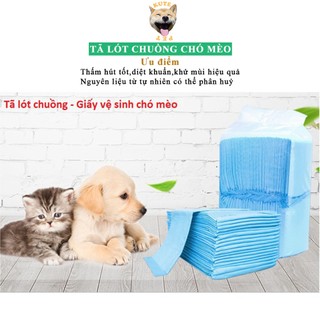 Tã lót vệ sinh cho chó mèo