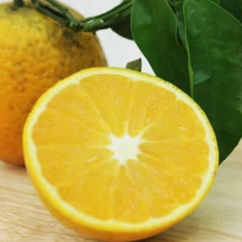 CAM VINH sấy lanh.CHÍNH GỐC  ."CAM TIẾN VUA".CHUẨN SẠCH VIETGAP