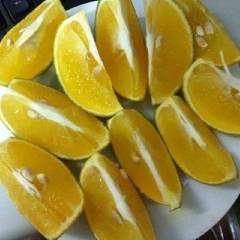 CAM VINH sấy lanh.CHÍNH GỐC  ."CAM TIẾN VUA".CHUẨN SẠCH VIETGAP