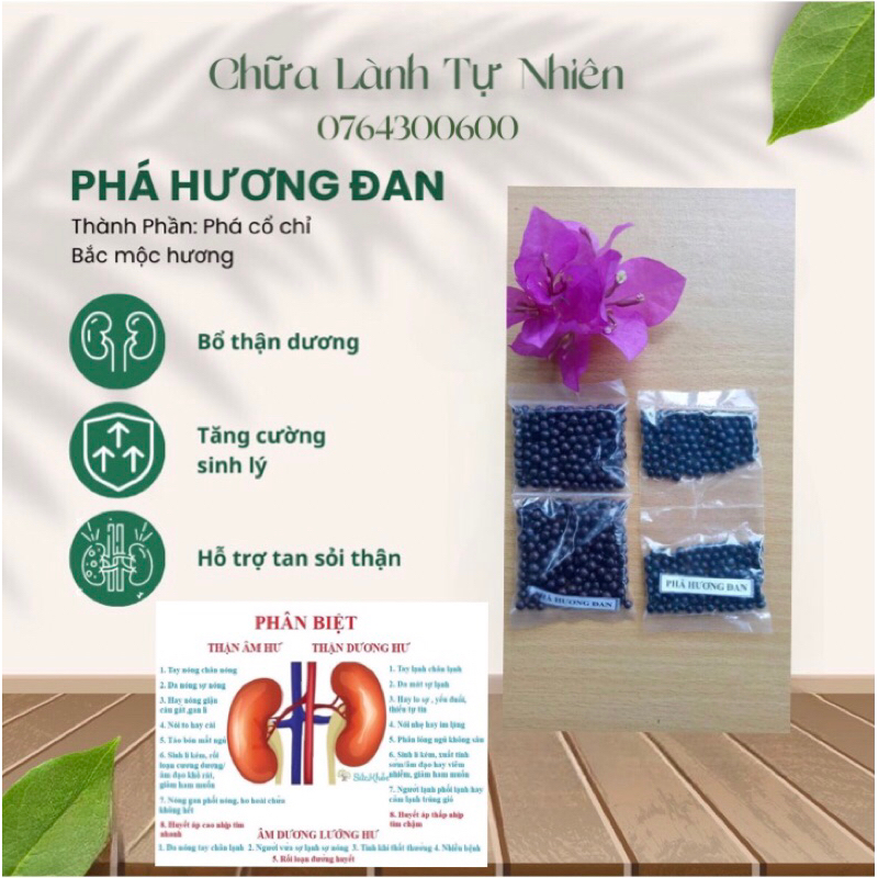 [Chính Hãng] Phá Hương Đan-Chủ Về Thận