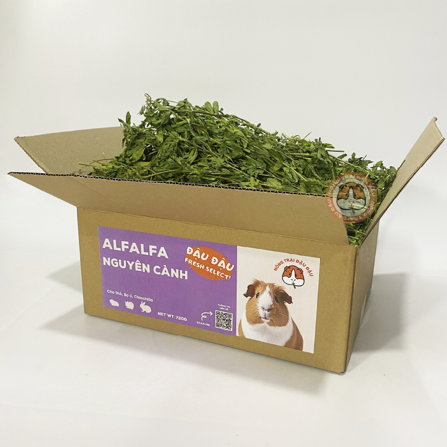 Cỏ Alfalfa Nguyên Cành Cho Thỏ, Bọ Ú, Chinchilla Lá To Nhiều Lá 720g