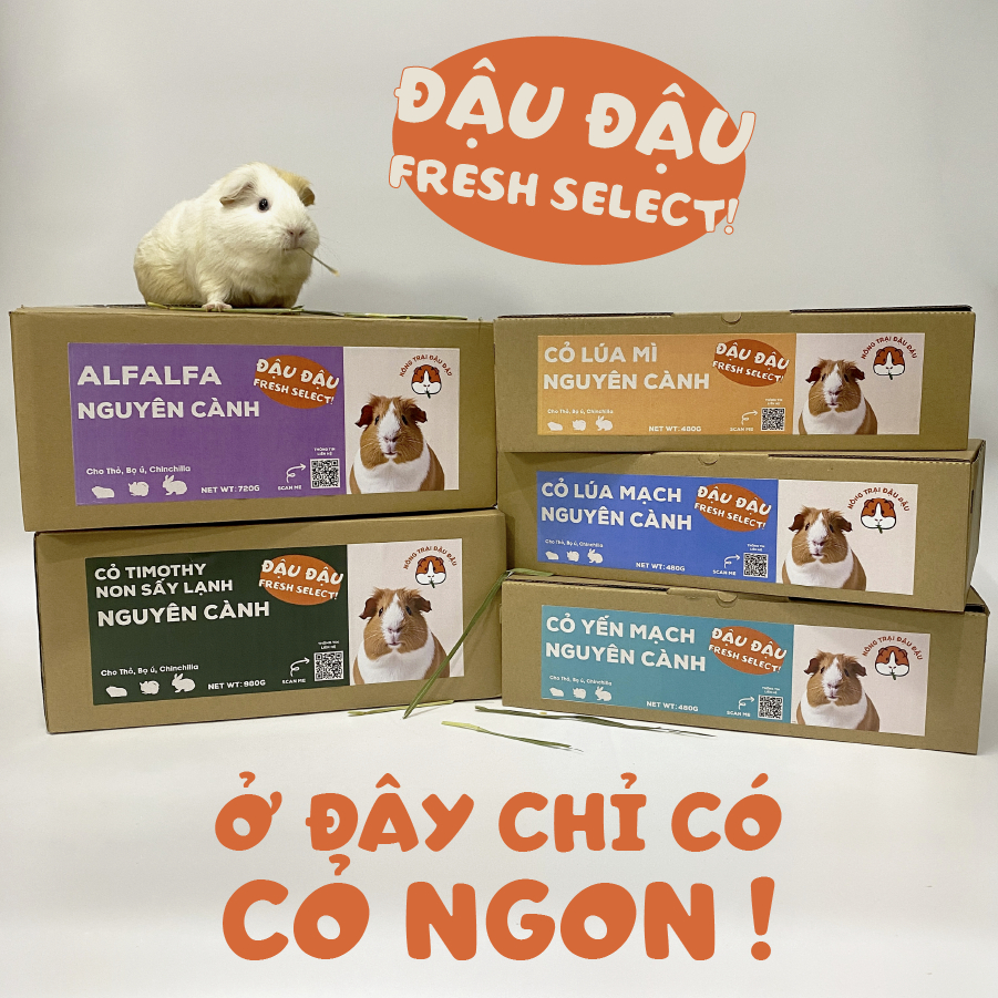 Cỏ Alfalfa Nguyên Cành Cho Thỏ, Bọ Ú, Chinchilla Lá To Nhiều Lá 720g